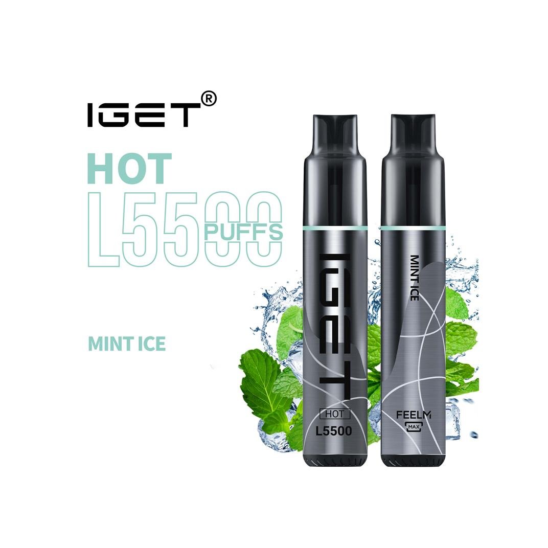 mint ice iget hot 5500 puffs